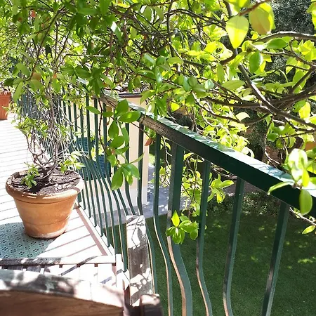 Oda ve Kahvaltı B&B Martini